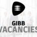 GIBB Vacanies