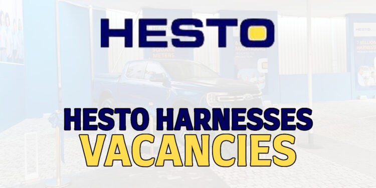 Hesto Harnesses Vacancies