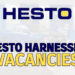 Hesto Harnesses Vacancies