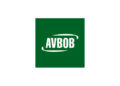 AVBOB Programme 2025 Internships for South African Graduates