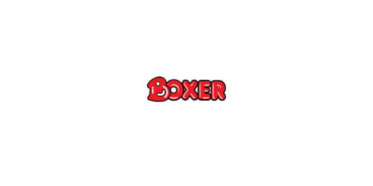 Boxer Superstores logo