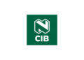 NedBank NCIB Young Analyst Programme Internship Opportunity 2025