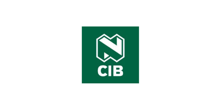 NedBank NCIB Young Analyst Programme Internship Opportunity 2025