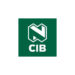 NedBank NCIB Young Analyst Programme Internship Opportunity 2025