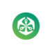 Old Mutual: Graduate Accelerated Programme 2025